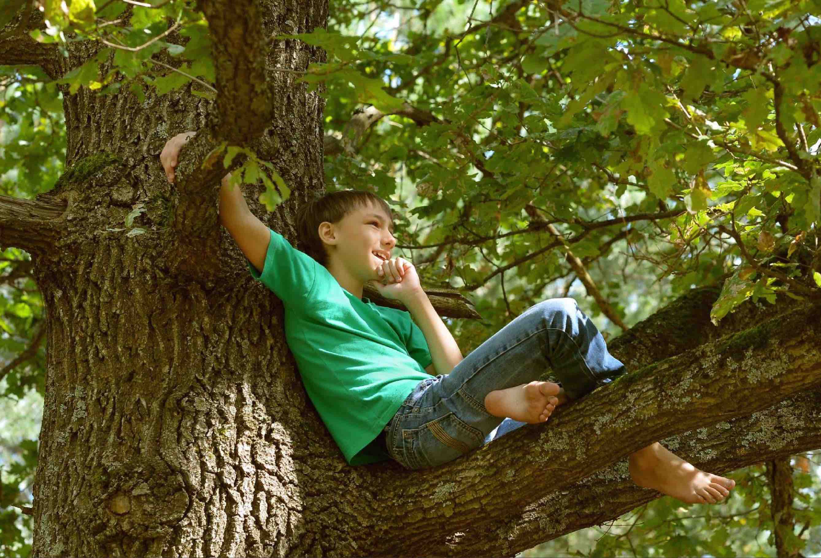 Can you climb a tree. Мальчик на дереве. Мальчик лежит на дереве. Подросток на дереве. Фотосессия пацана на дереве.
