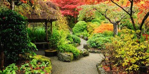 RustomjeeUrbania_Aroma garden