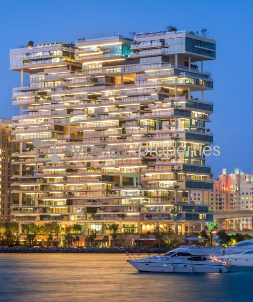 Omniyat AVA Palm Jumeirah Dubai x Dorchester Collection